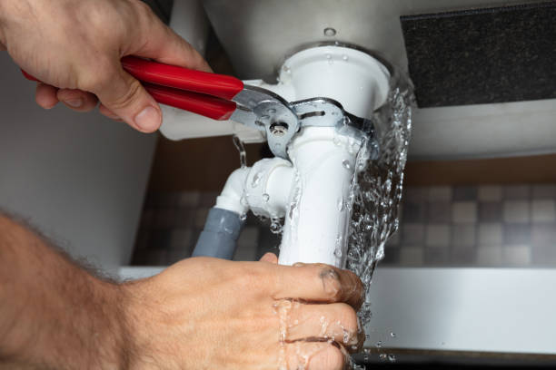 Best Residential water damage restoration  in Neoga, IL