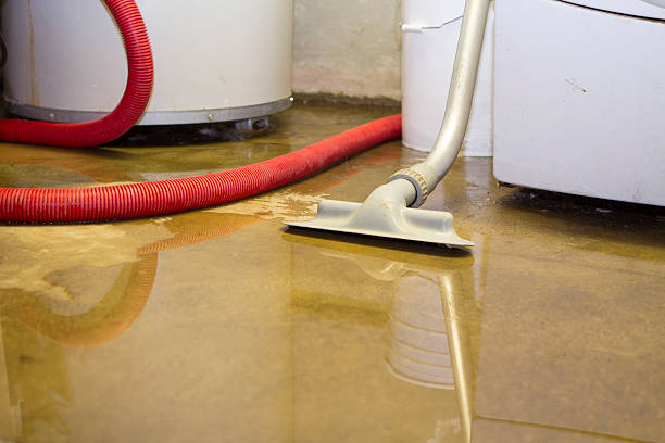 Best Water damage cleanup near me  in Neoga, IL