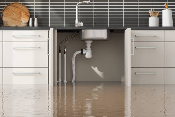 Best Flood restoration services  in Neoga, IL
